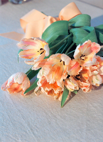 TULIP BUNDLE