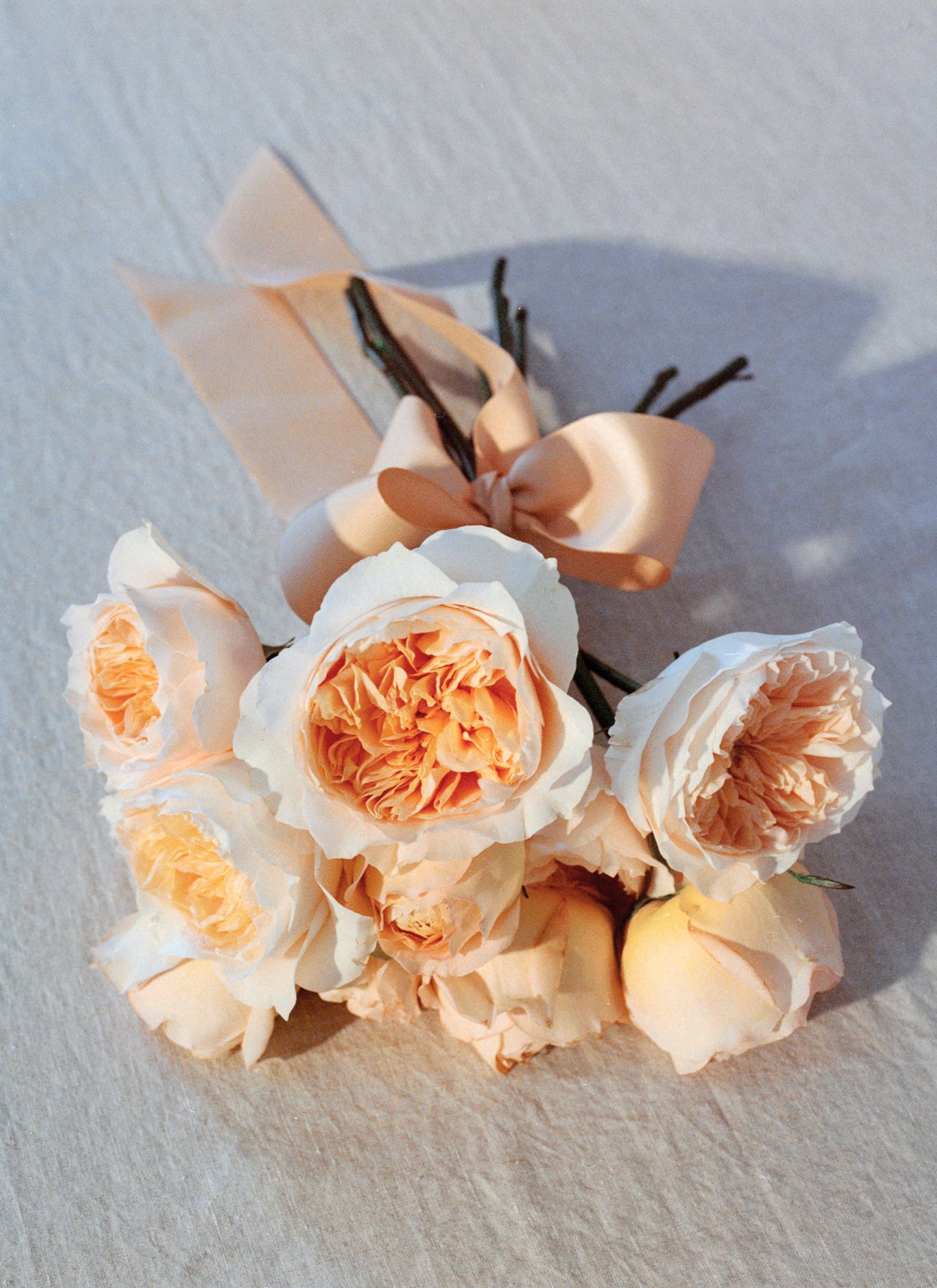GARDEN ROSE BUNDLE